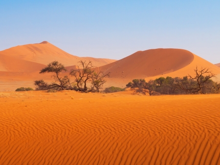 Immersion dans le Désert du Namib (400 km)
