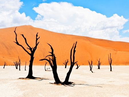 Spectaculaires dunes rougeoyantes de Sossusvlei (150 km)