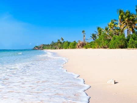 Sur la plage de sable blanc