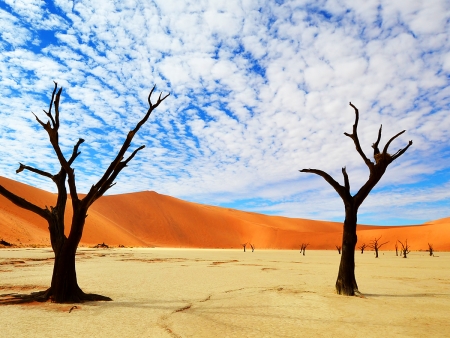 Spectaculaires dunes rougeoyantes de Sossusvlei (150km)