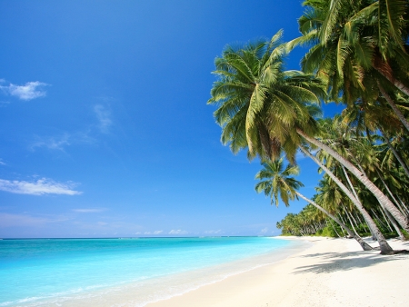 Départ pour Zanzibar