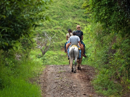 Rincon de la Vieja : terre de cowboys